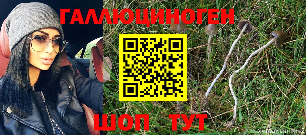 Галлюциногенные грибы MAGIC MUSHROOMS  Псилоцибиновые грибы мицелий  хочу   Дзержинский  Вход с VPN 