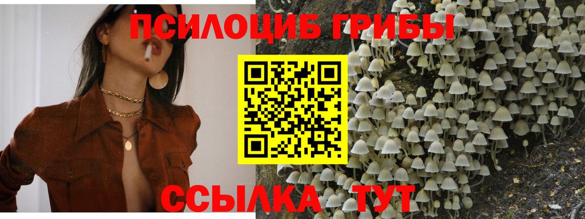Галлюциногенные грибы мицелий Дзержинский